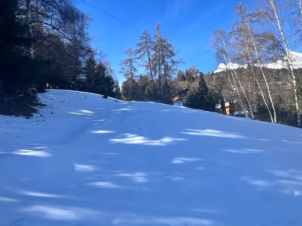 Terrain / 1'466 m2 / Mayens de Chamoson / Réf. 10265556 / EXCLUSIVITE