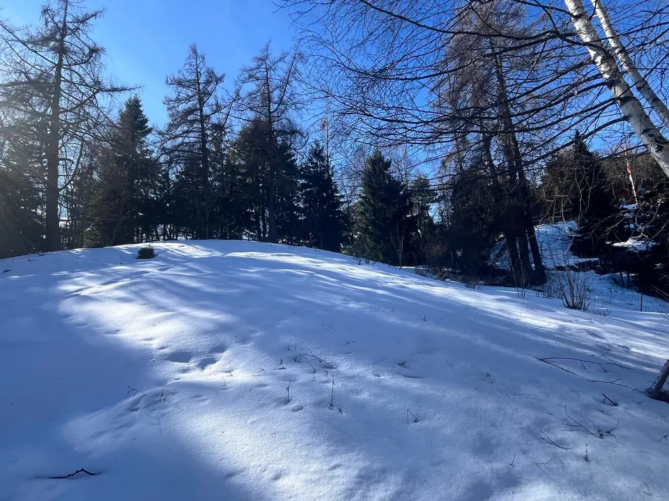 Terrain / 1'466 m2 / Mayens de Chamoson / Réf. 10265556 / EXCLUSIVITE