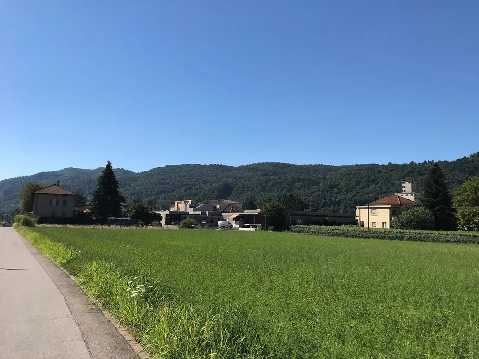 Terreno edificabile di facile accesso