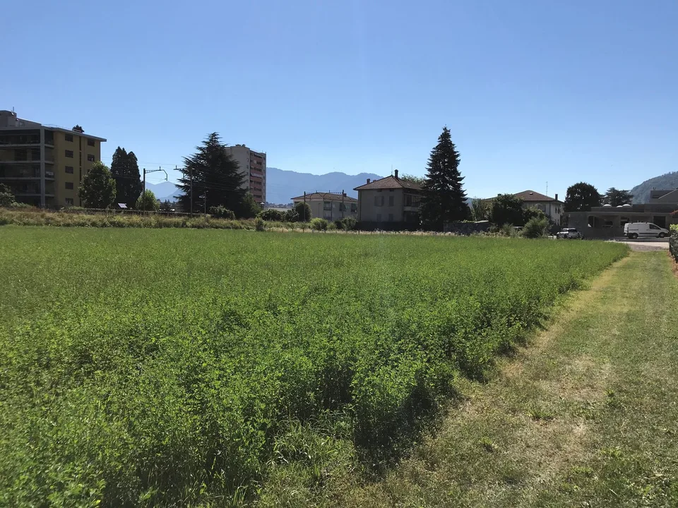 Terreno edificabile di facile accesso – photo 11 sur 17