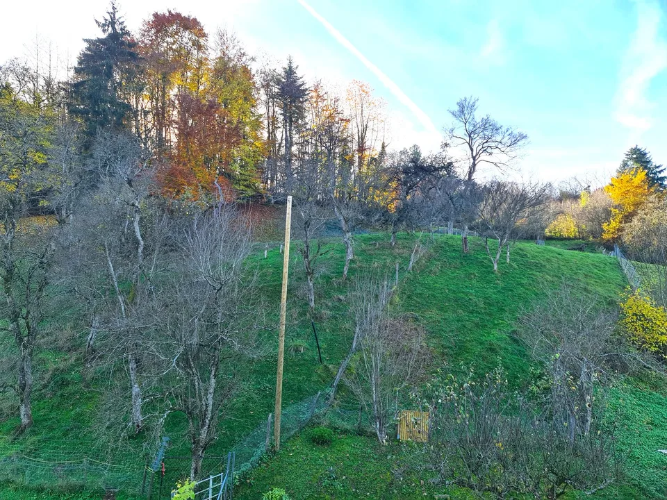 Grande casa familiare atipica di 7,5 locali – foto 8 di 30