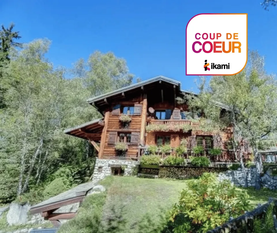 Chalet vue Mont-Blanc avec terrasse