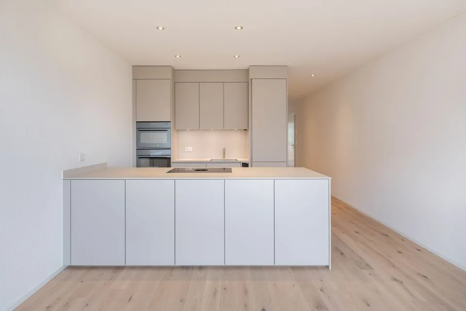 Edificio nuovo - maisonette esclusiva di 4,5 locali con 157 m² di spazio abitativo a Zauggenried