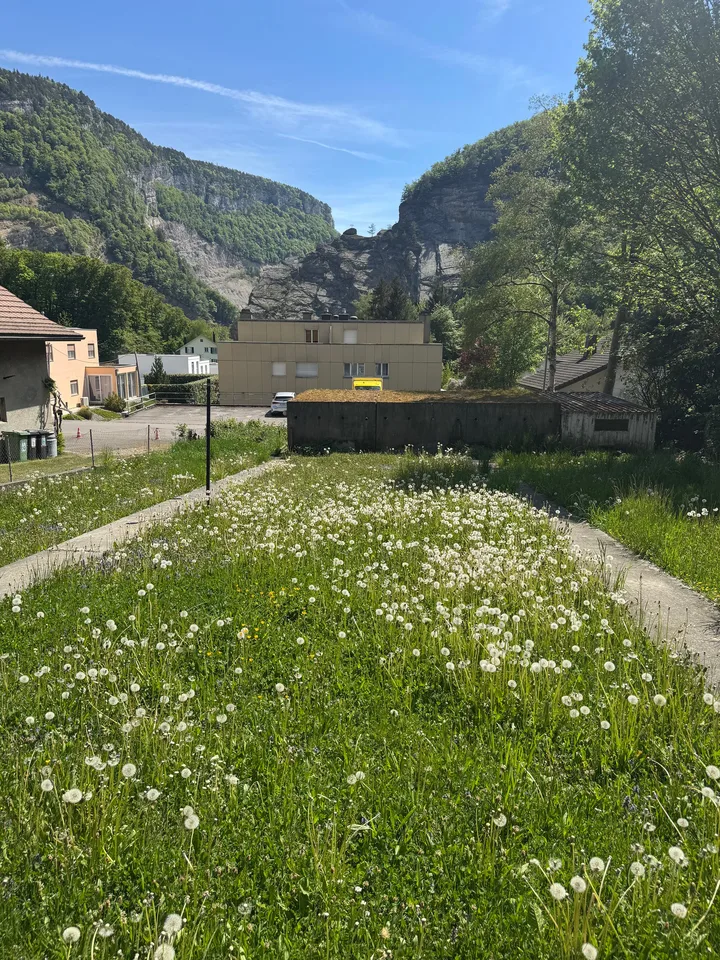 Buildable land with contemporary villa project and rental income – Péry – photo 14 of 16