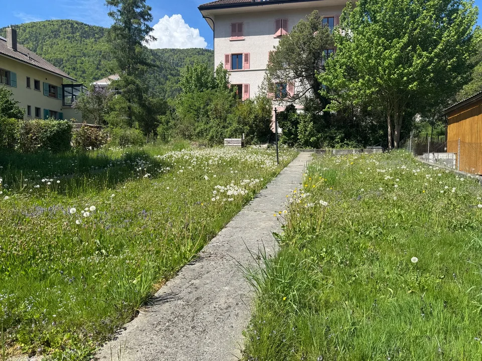 Terreno edificabile con progetto di villa contemporanea e rendita locativa – Péry