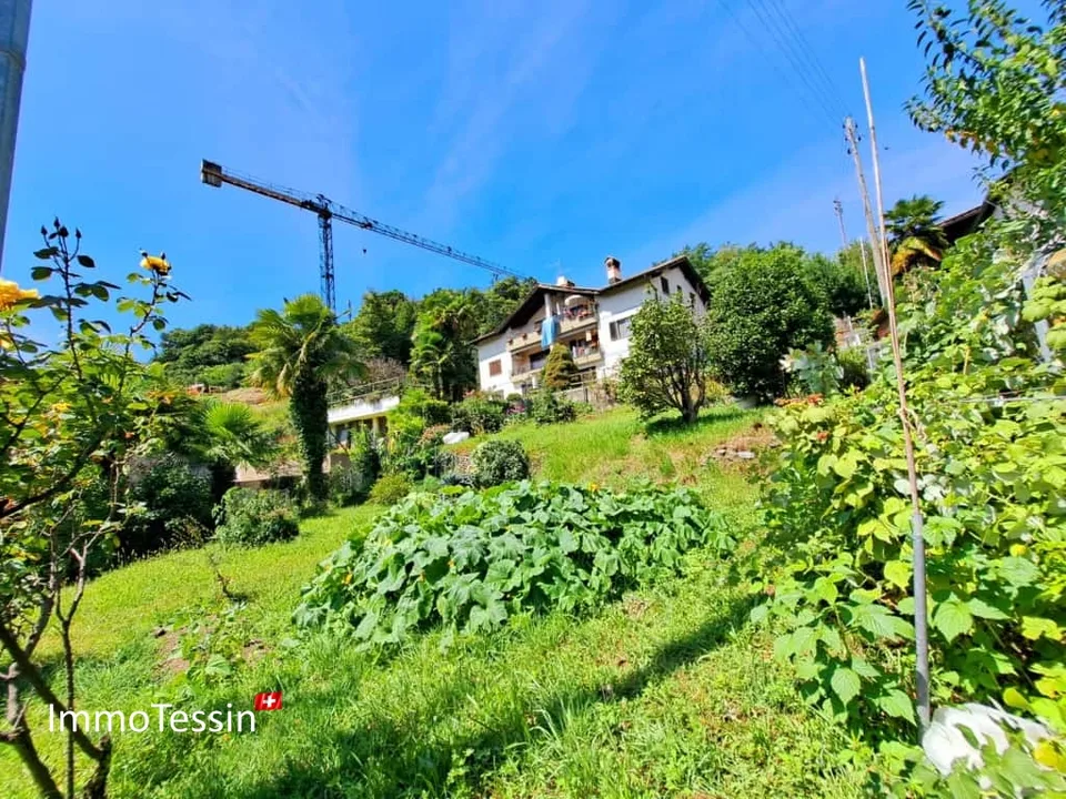 Bauland an schöner & ruhiger Lage mit Weitsicht in Monteggio mit Projekt zum top Preis