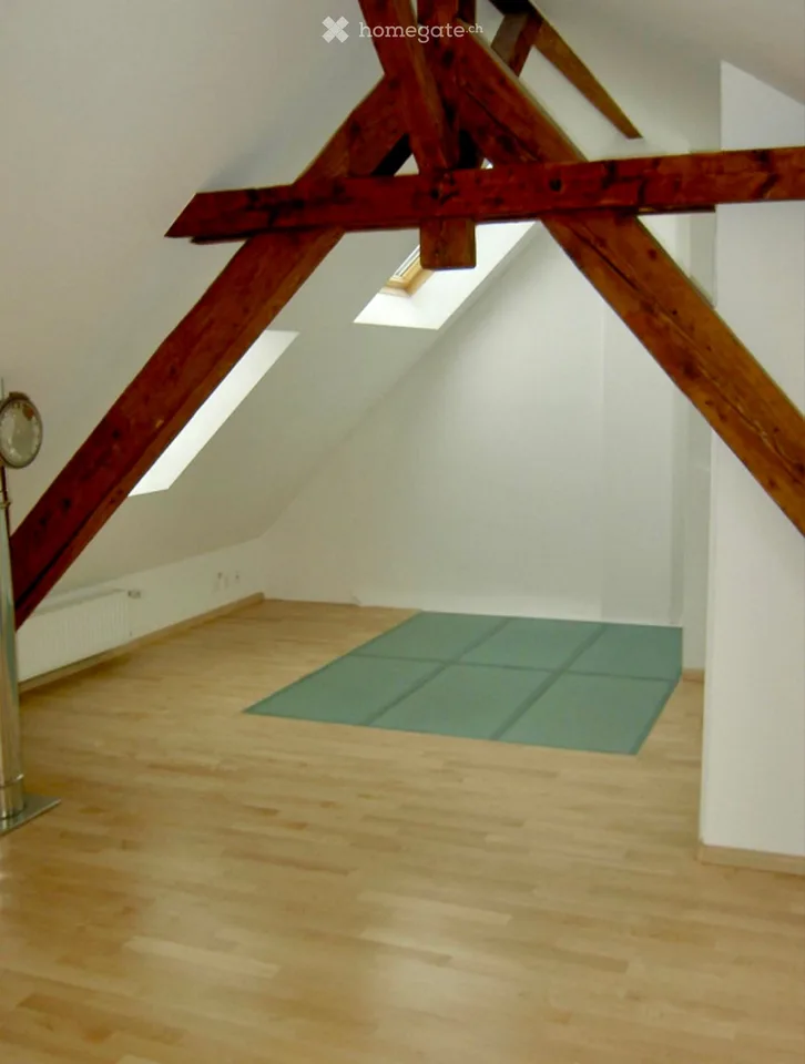 Appartamento loft maisonette stiloso da 2,5 a 4 locali a Basilea