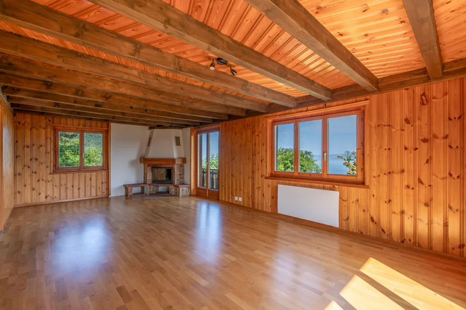 UN PANORAMA D'EXCEPTION SUR LE LÉMAN
