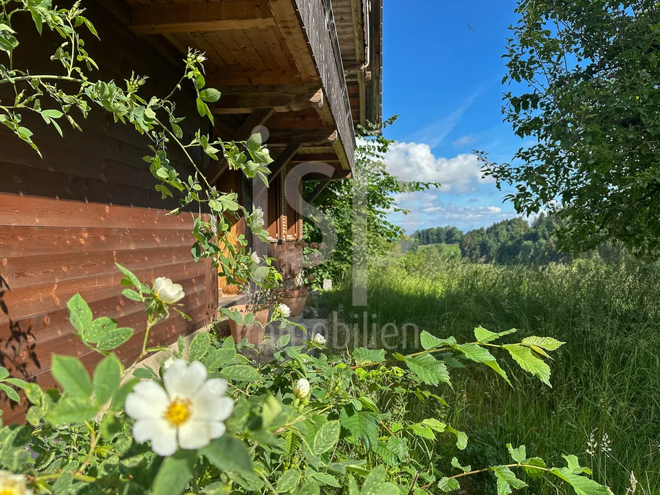 Gepflegtes Bauernhaus mit 3'397m2 Grundstück – Foto 3 von 24