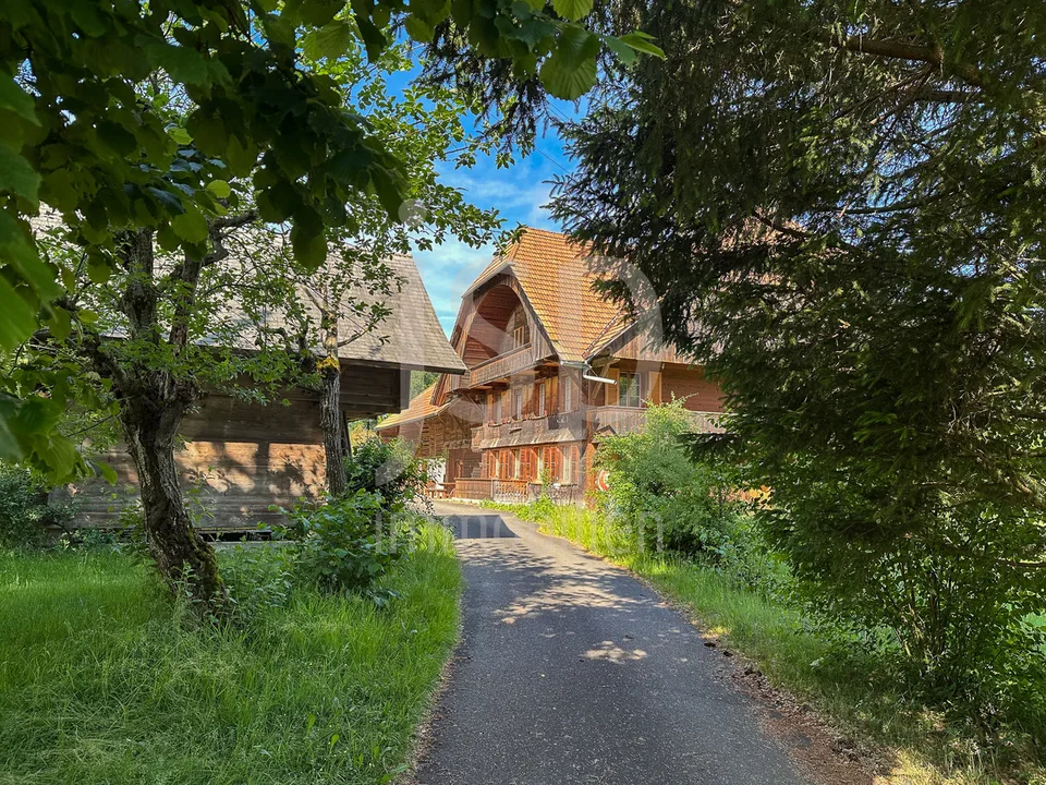 Gepflegtes Bauernhaus mit 3'397m2 Grundstück – Foto 1 von 24