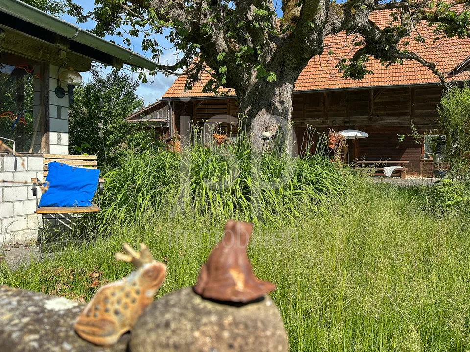 Gepflegtes Bauernhaus mit 3'397m2 Grundstück – Foto 7 von 24
