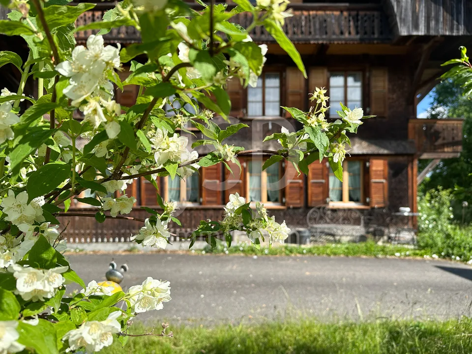Gepflegtes Bauernhaus mit 3'397m2 Grundstück – Foto 4 von 24