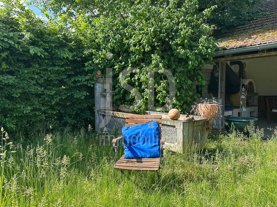 Gepflegtes Bauernhaus mit 3'397m2 Grundstück – Foto 6 von 24
