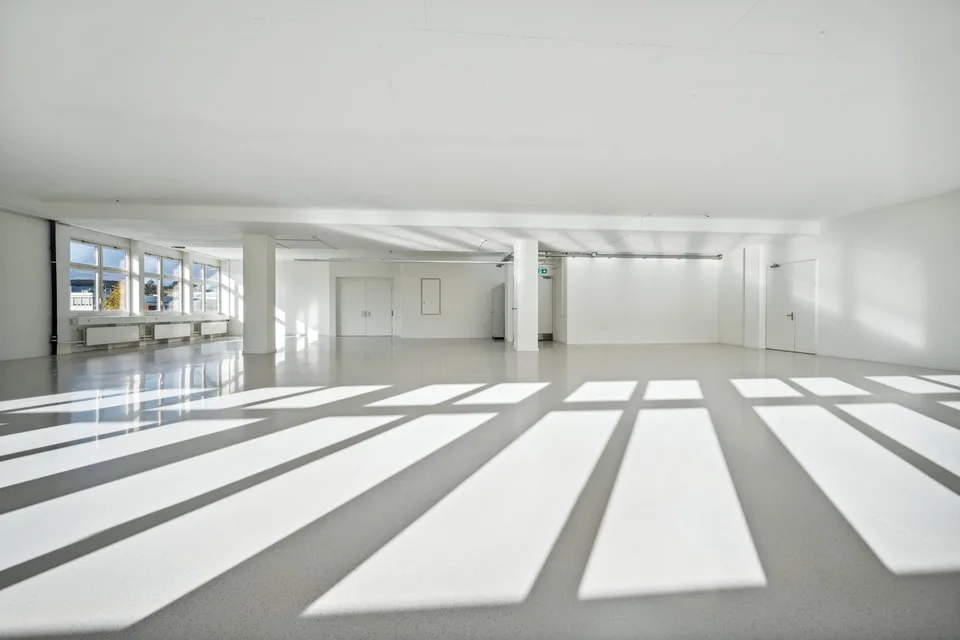 365 m2 d'espaces commerciaux avec ascenseur de marchandises et charge utile de 1'300 kg/m² – photo 6 sur 14