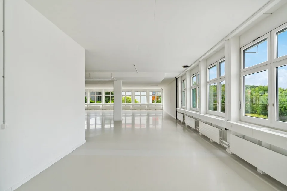 365 m2 d'espaces commerciaux avec ascenseur de marchandises et charge utile de 1'300 kg/m² – photo 10 sur 14