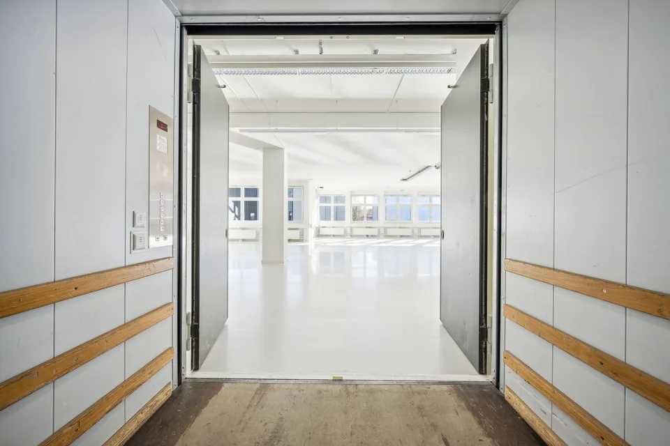 365 m2 d'espaces commerciaux avec ascenseur de marchandises et charge utile de 1'300 kg/m² – photo 7 sur 14