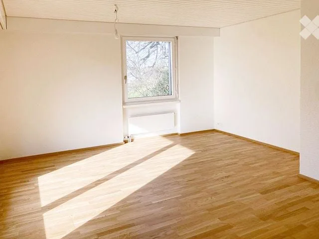 Charmante und helle Wohnung mit Balkon und eigenem Gartensitzplatz in Zürich-Enge