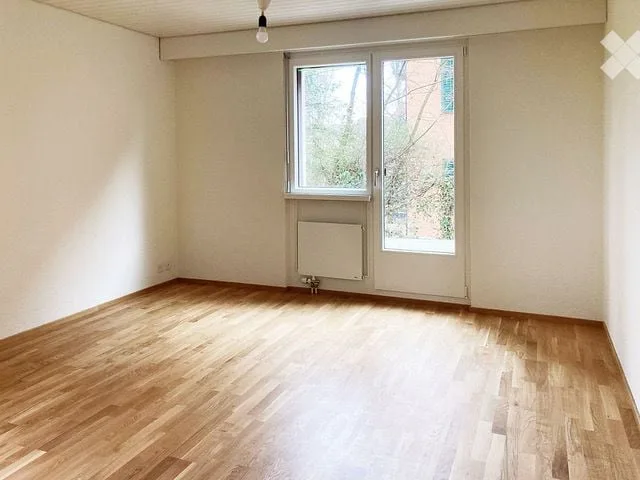 Charmante und helle Wohnung mit Balkon und eigenem Gartensitzplatz in Zürich-Enge