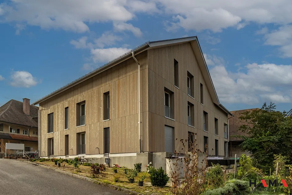 ZONA ORSI NUOVA COSTRUZIONE AFFITTO E SPESE ACCESSORIE 5 ANNI GARANTITI