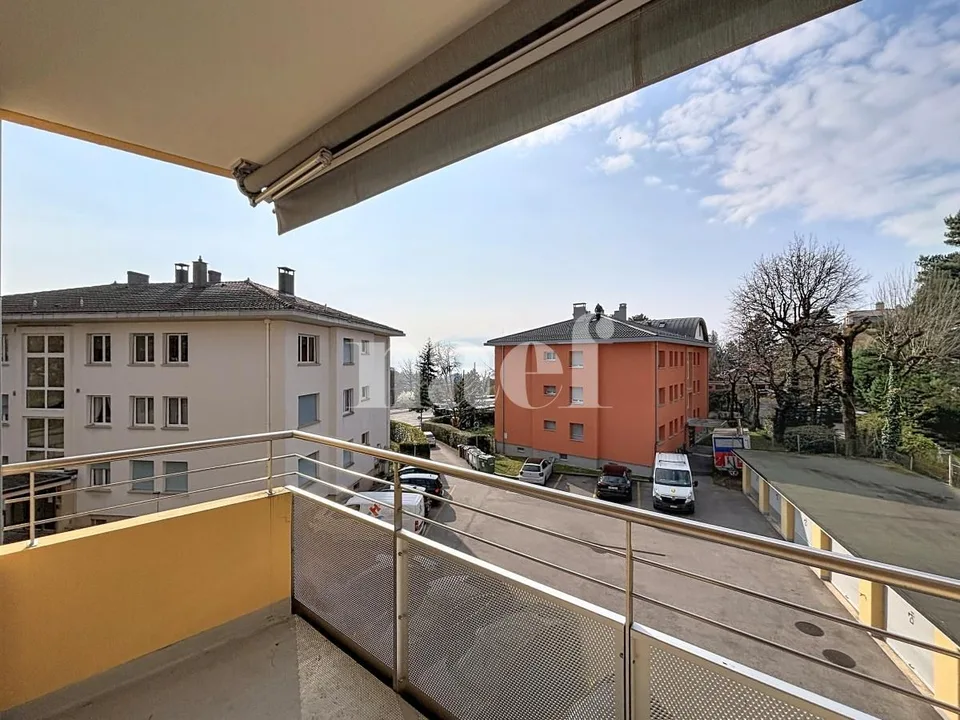 Geräumige renovierte Wohnung