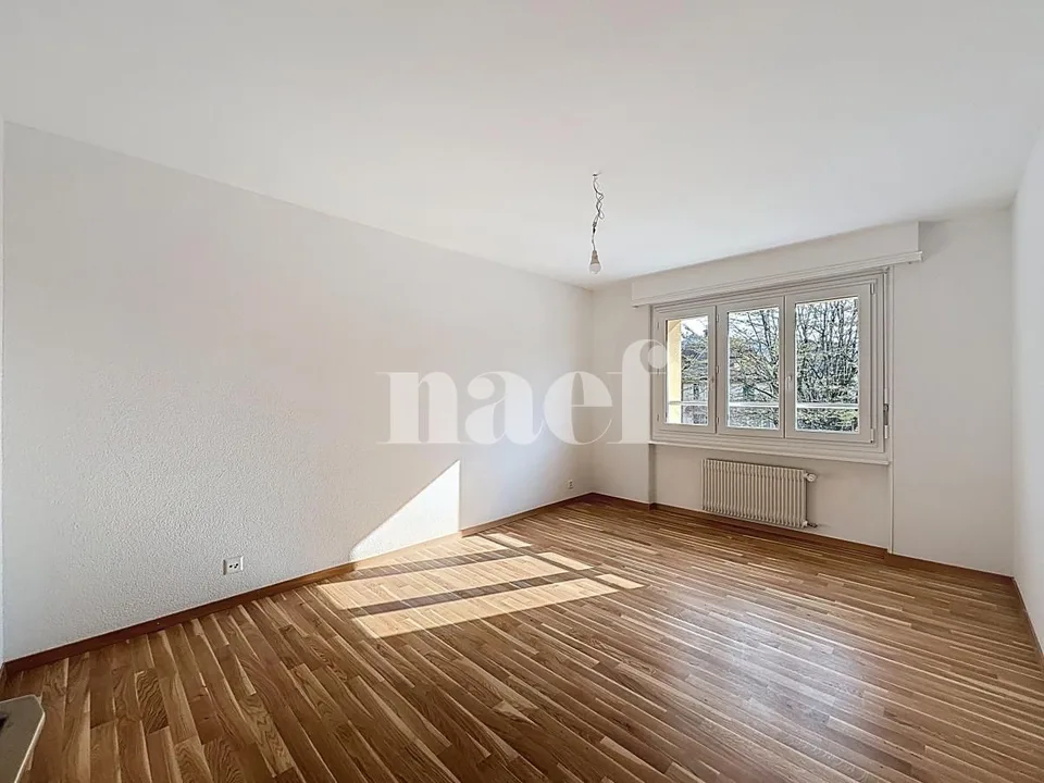 Geräumige renovierte Wohnung