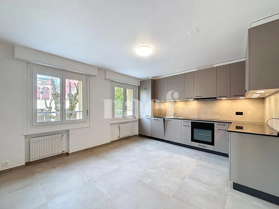 Geräumige renovierte Wohnung