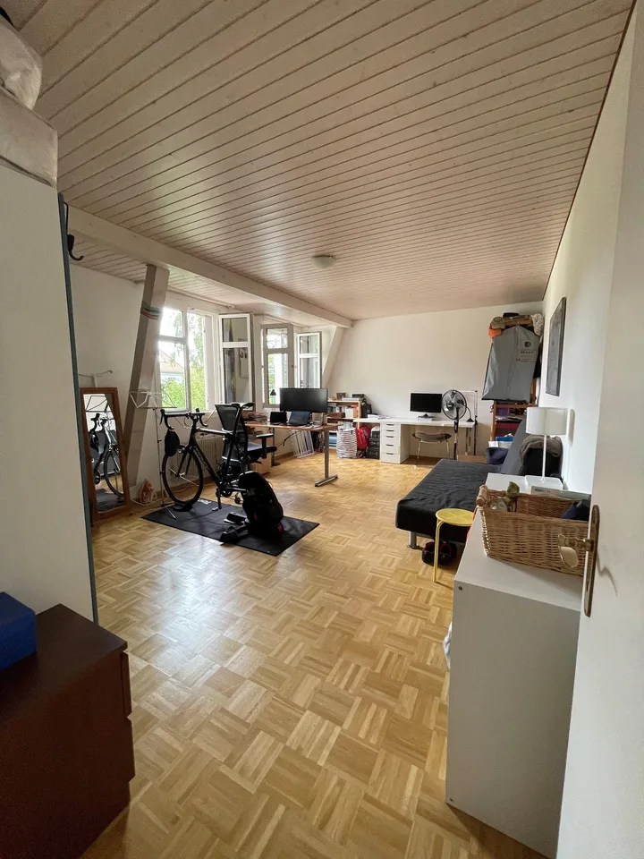Beautiful 4.5-room apartment