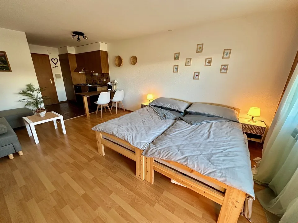 Cozy studio with beautiful view