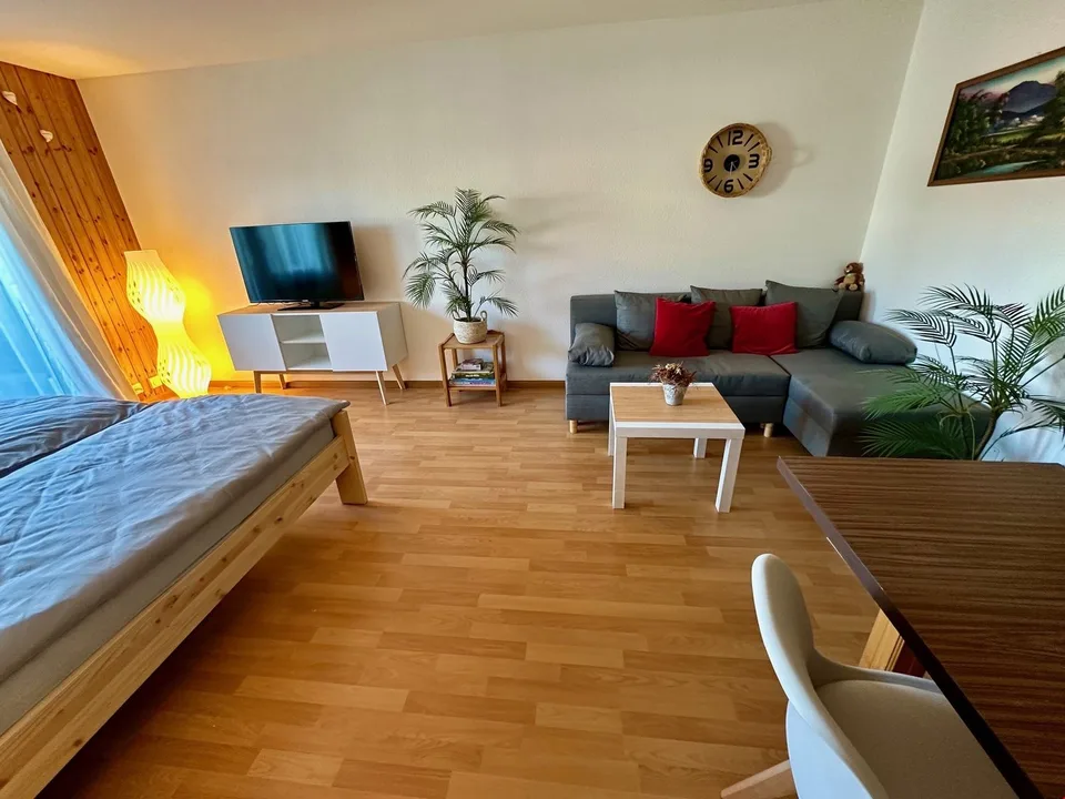 Cozy studio with beautiful view