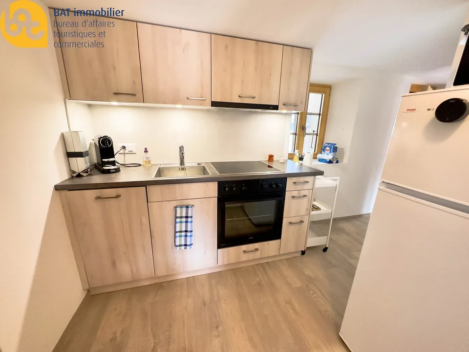 Location vacances - Appartement 2 pièces rénové au centre de Vercorin