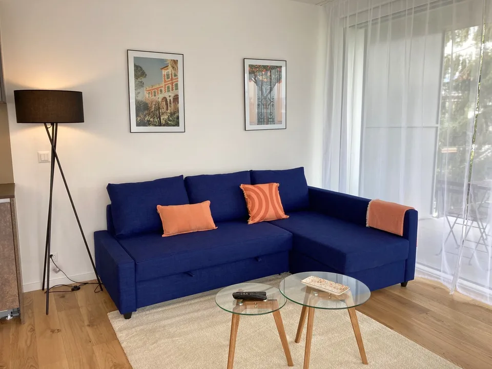 Affascinante appartamento di 2,5 locali a Nyon – Disponibile da luglio 2026