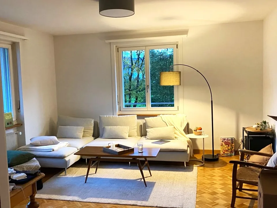3-Zimmerwohnung im Fischermätteli