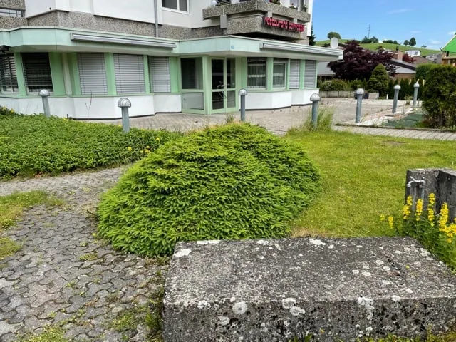 Ristorante affascinante di 250m² a Wolhusen in affitto – foto 7 di 16