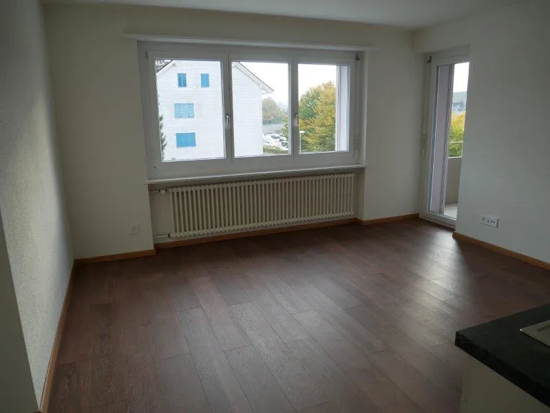 Appartamento accogliente di 2 camere con balcone a Wangen vicino a Olten