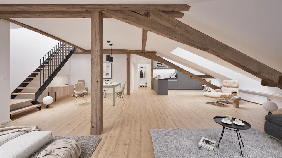 Au-dessus des toits de Winterthur, urbain, élégant, unique
