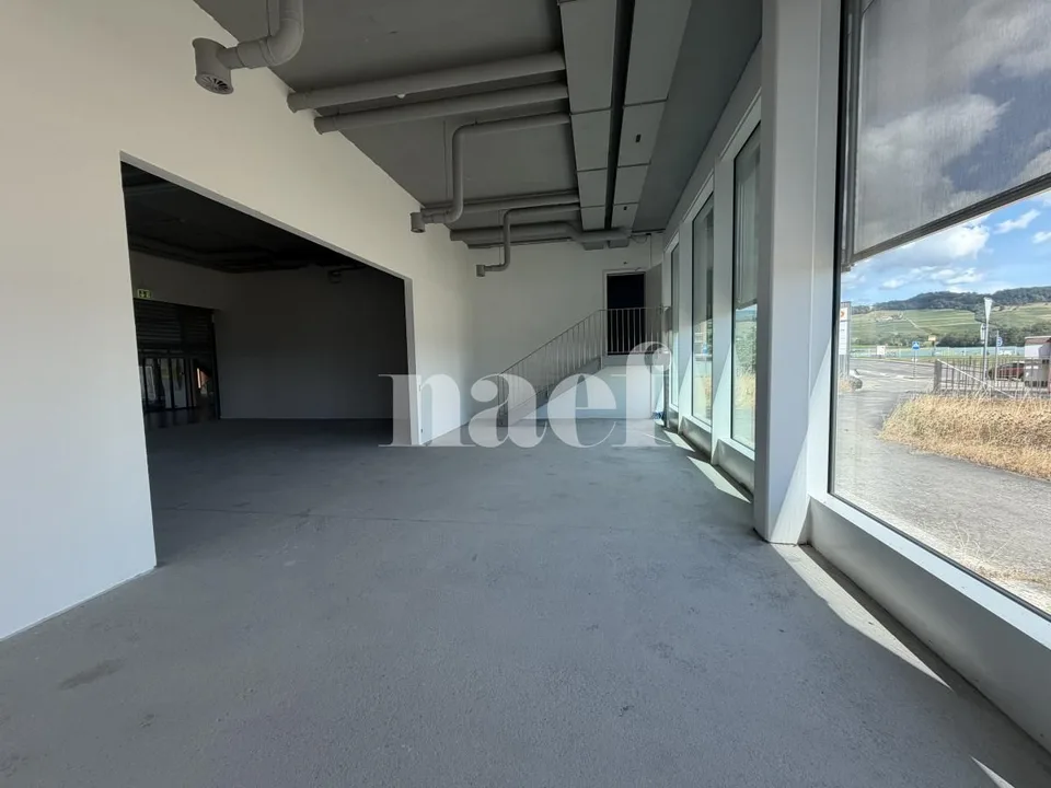 Eikenott - Arcata luminosa di ca. 240 m2 al pianterreno