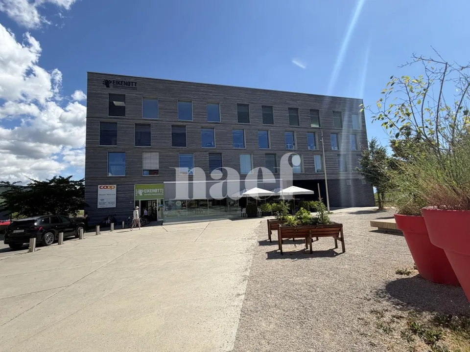 Eikenott - Arcata luminosa di ca. 240 m2 al pianterreno
