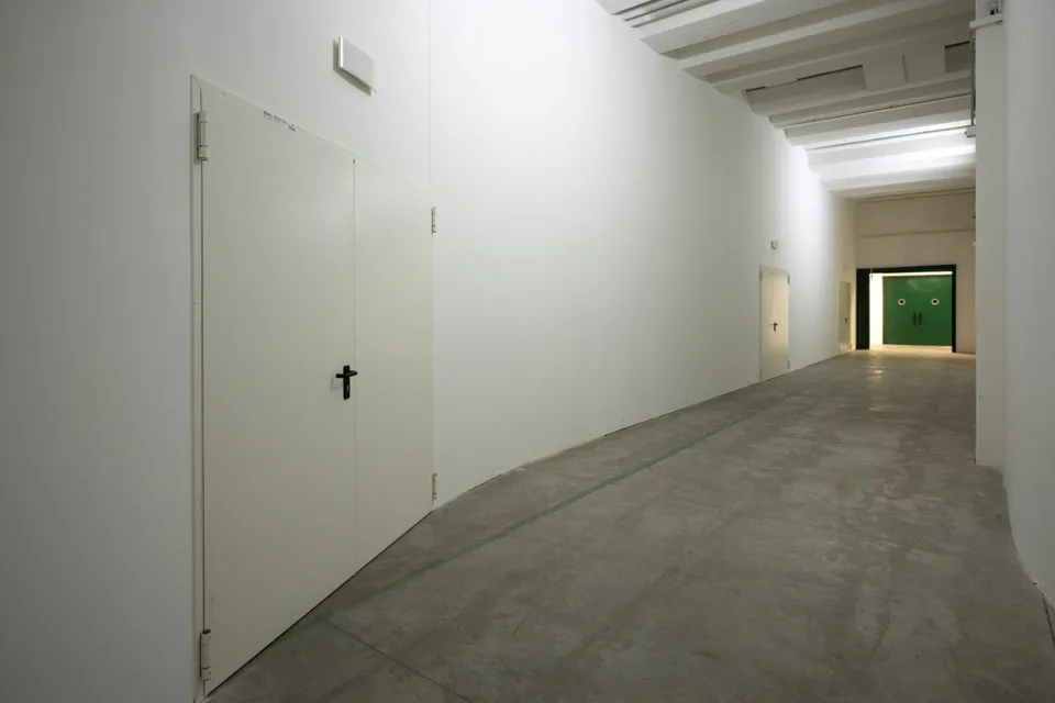 Rent in Mezzovico, storage/warehouse about 500 sqm
