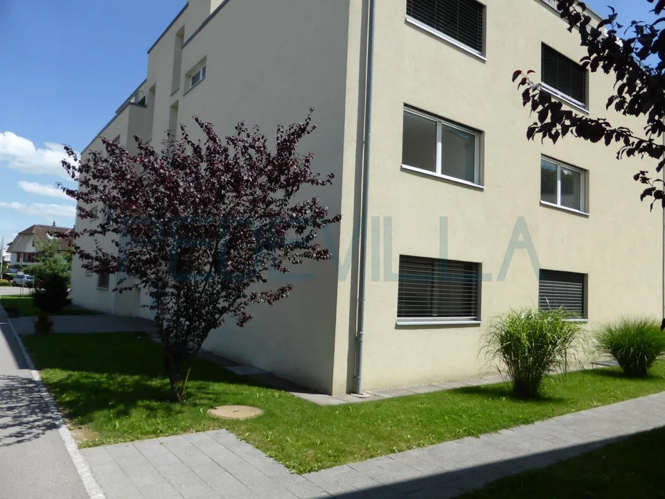 2557 Studen: Local de bricolage