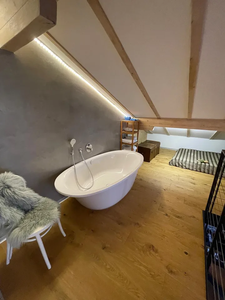 3 ZIMMER-HAUS IN TSCHINGEL OB GUNTEN (BE), MÖBLIERT, TEMPORÄR