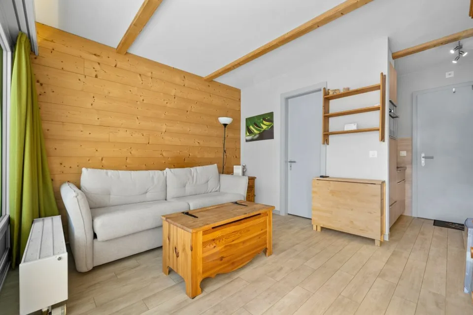 Appartement ski-in ski out de 1.5 pièces
