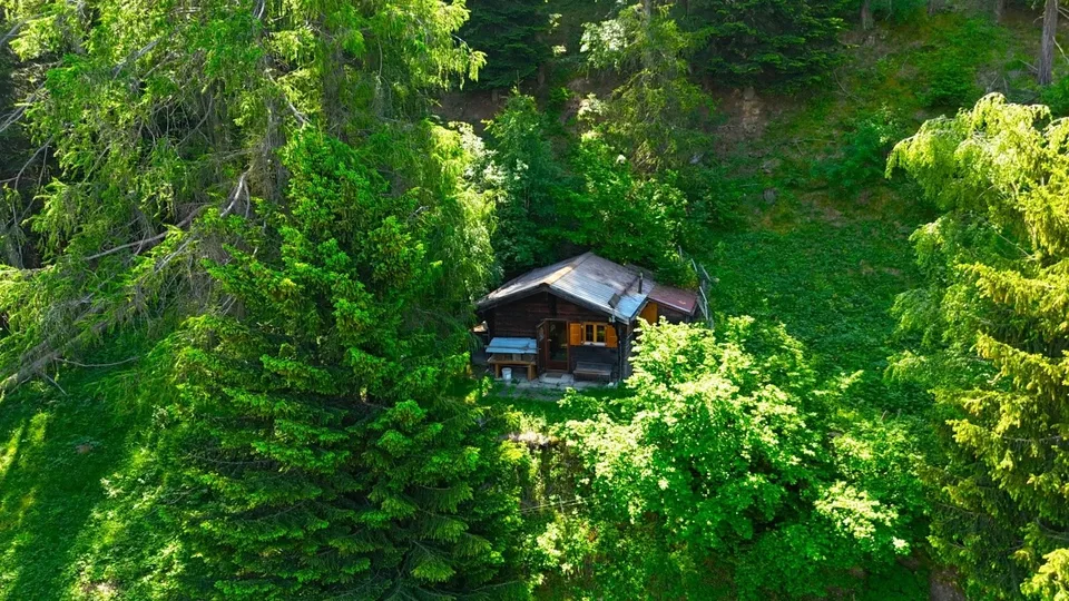 Authentisches Häuschen inmitten einer Waldlichtung - Natur pur