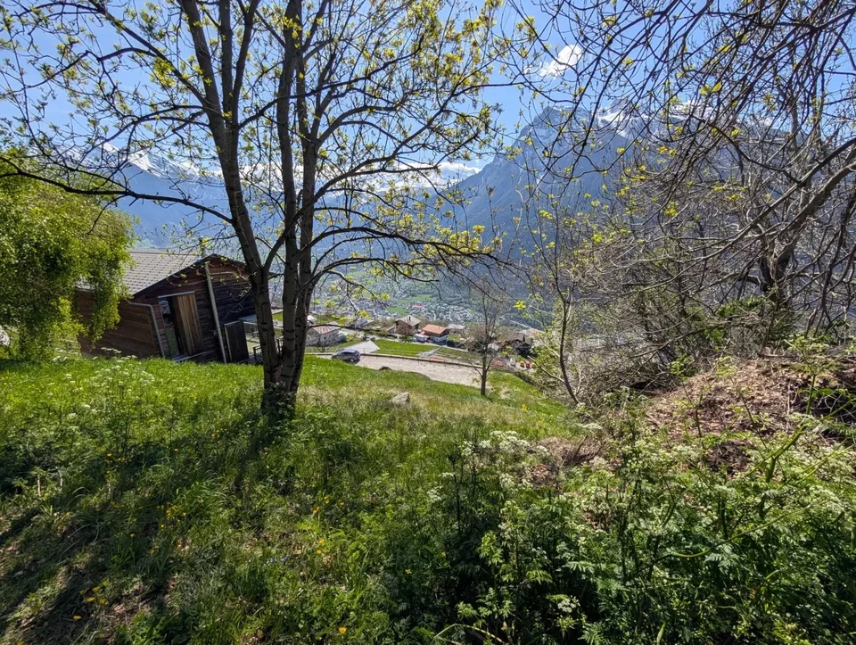 Bauland an sonniger Lage in Birgisch