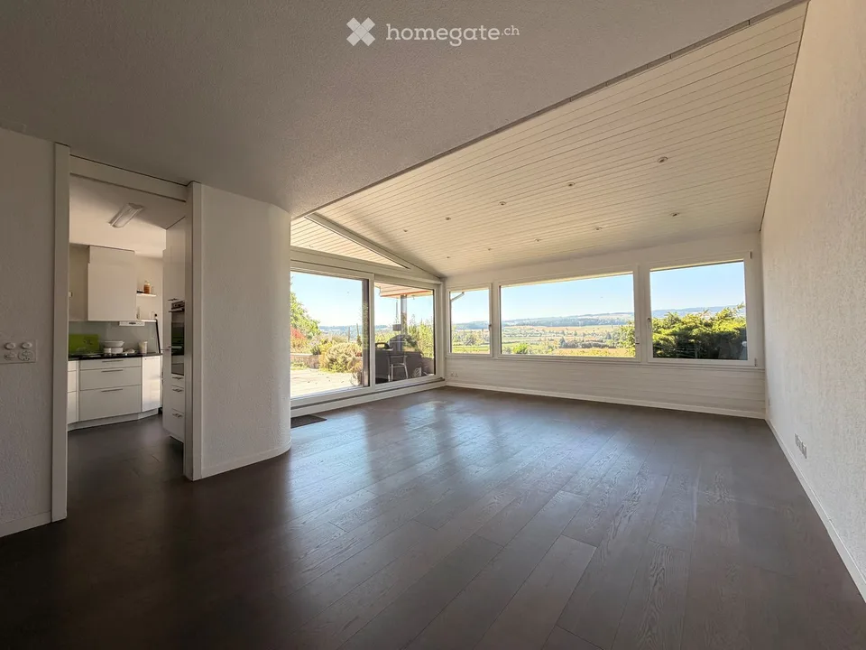 5.5 Zimmer Terrassenhaus in Hünenberg