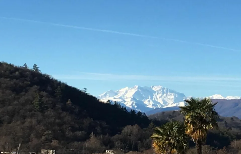 Investimento Oggetto Novaggio TOP 260501