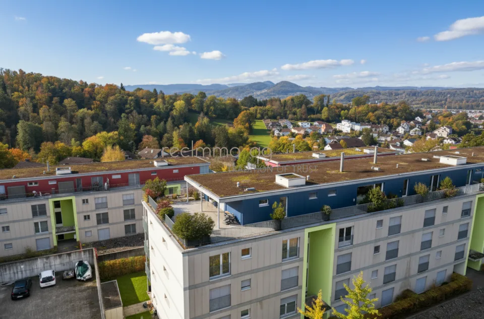 Exklusive 5.5-Zimmer-Wohnung mit 300 m² Terrasse in Döttingen - Raum, Komfort und Stil auf höchstem Niveau