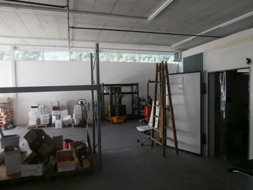 BALERNA IMMEUBLE INDUSTRIEL COMPLÈTEMENT LOUÉ, RENDABLE – photo 8 sur 13