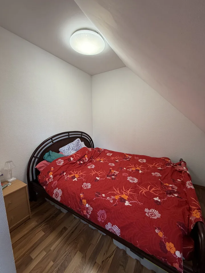 Triplex mit 125 m² Wohnfläche in Hésingue (Frankreich) – Nur 5 Minuten von der Schweizer Grenze – Foto 7 von 25