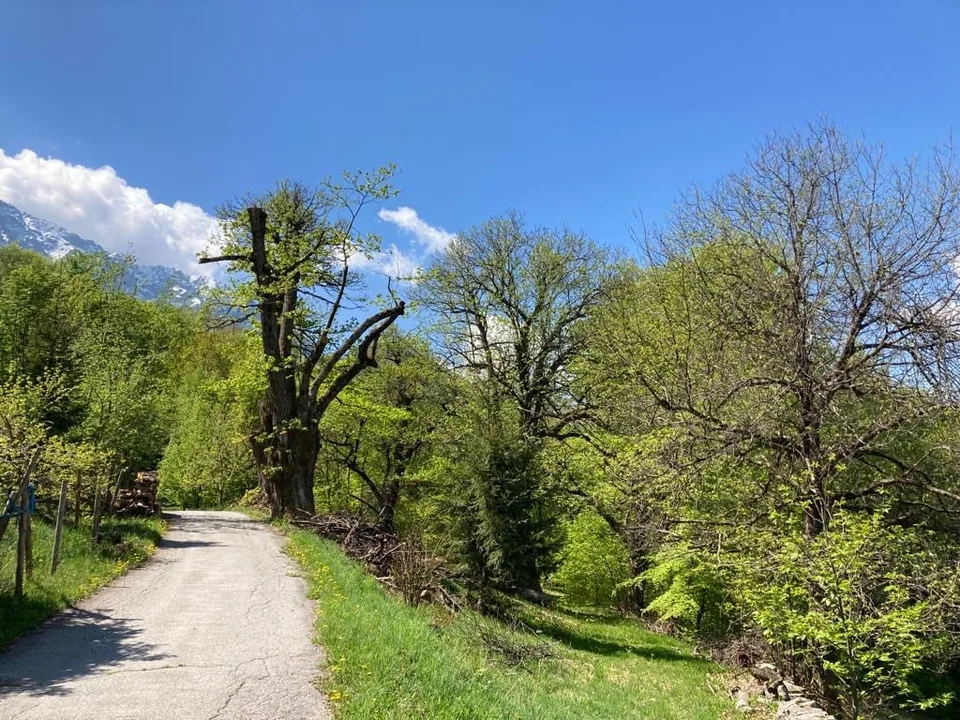 Rustico am Dorfrande zum Ausbauen mit Baulizenz – Foto 14 von 16