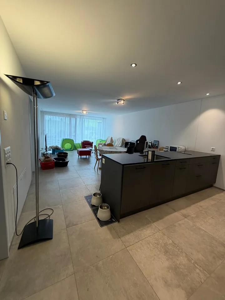 Grosse 3.5 Zimmerwohnung 92.5m2, 2 Nasszellen und 36 m2 Terrasse